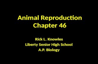 Animal Reproduction Chapter 46 Rick L. Knowles Liberty Senior High School A.P. Biology.