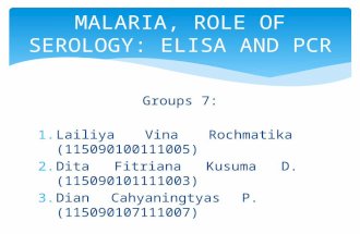 Groups 7: 1.Lailiya Vina Rochmatika (115090100111005) 2.Dita Fitriana Kusuma D. (115090101111003) 3.Dian Cahyaningtyas P. (115090107111007) MALARIA, ROLE.
