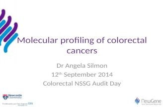 Molecular profiling of colorectal cancers Dr Angela Silmon 12 th September 2014 Colorectal NSSG Audit Day.