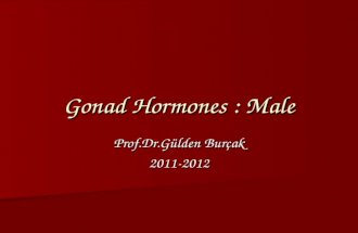 Gonad Hormones : Male Prof.Dr.Gülden Burçak 2011-2012.