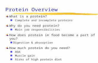 Protein Overview What is a protein? Complete and incomplete proteins Why do you need protein? Main job responsibilities How does protein in food become.