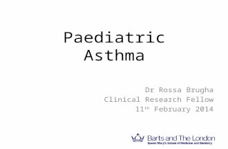 Paediatric Asthma Dr Rossa Brugha Clinical Research Fellow 11 th February 2014 April 2010.