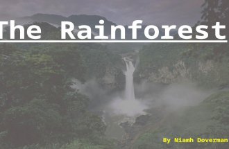 By Niamh Doverman 1. 2 3 3 The worlds largest rainforest in the world is the Amazon rainforest. Rainforests only take up 2-3% of the earths land. 50%