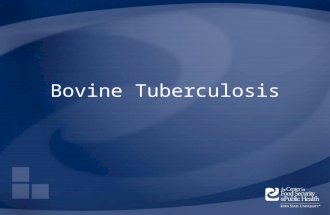 Bovine Tuberculosis. Overview Organism History Epidemiology Transmission Disease in Humans Disease in Animals Prevention and Control Actions to Take Center.