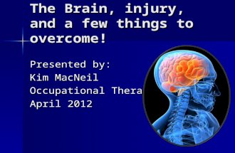The Brain, injury, and a few things to overcome! Presented by: Kim MacNeil Occupational Therapist April 2012.
