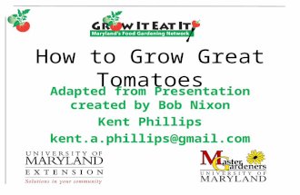 How to Grow Great Tomatoes Adapted from Presentation created by Bob Nixon Kent Phillips kent.a.phillips@gmail.com.