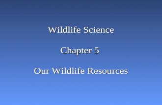 Wildlife Science Chapter 5 Our Wildlife Resources.
