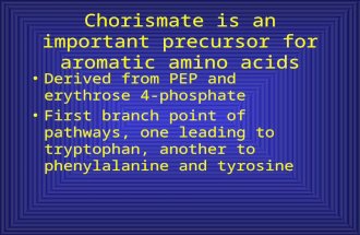Chorismate is an important precursor for aromatic amino acids Derived from PEP and erythrose 4- phosphate First branch point of pathways, one leading to.