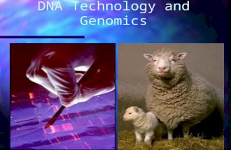 DNA Technology and Genomics. Recombinant DNA n Definition: DNA in which genes from 2 different sources are linked n Genetic engineering: direct manipulation.