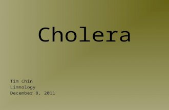 Cholera Tim Chin Limnology December 8, 2011. Waterborne Diseases Illnesses transmitted through the consumption of contaminated water Water acts as a passive.