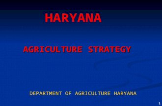1 AGRICULTURE STRATEGY DEPARTMENT OF AGRICULTURE HARYANA HARYANA.