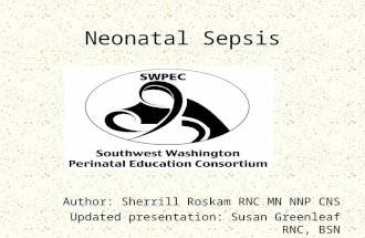 Neonatal Sepsis Author: Sherrill Roskam RNC MN NNP CNS Updated presentation: Susan Greenleaf RNC, BSN.