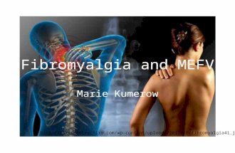 Fibromyalgia and MEFV Marie Kumerow .