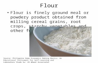 Flour Flour is finely ground meal or powdery product obtained from milling cereal grains, root crops, starchy vegetables and other foods. Source: Philippine.