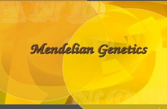 1 Mendelian Genetics 2 Gregor Mendel (1822-1884) Responsible for the Laws governing Inheritance of Traits.