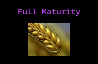 Full Maturity. EPHESIANS 4 15 But speaking the truth in love, may grow up into him in all things, which is the head, even Christ: