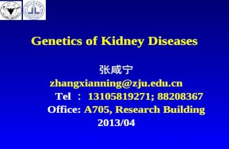 Genetics of Kidney Diseases 张咸宁 zhangxianning@zju.edu.cn Tel ： 13105819271; 88208367 Office: A705, Research Building 2013/04.