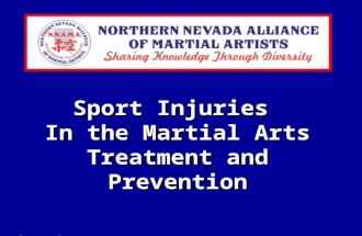 Ihsan Antoine Azzam, MD, MPH June 24, 2005 Ihsan Antoine Azzam, MD, MPH June 24, 2005 Sport Injuries In the Martial Arts Treatment and Prevention.