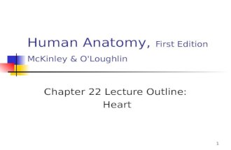 1 Human Anatomy, First Edition McKinley & O'Loughlin Chapter 22 Lecture Outline: Heart.