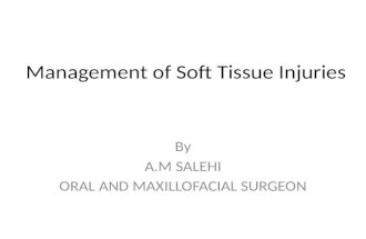 Management of Soft Tissue Injuries By A.M SALEHI ORAL AND MAXILLOFACIAL SURGEON.