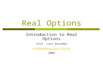 Real Options Introduction to Real Options Prof. Luiz Brandão brandao@iag.puc-rio.br 2009.