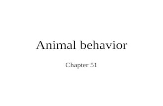 Animal behavior Chapter 51. keywords Fixed action pattern, Sign stimulus proximate and ultimate causes of behavior imprinting sociobiology sexual selection.