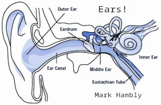 Ears! Mark Hambly. Ear pain – what could it be? Common presentation in GP Most likely otitis media or externa Below some tips on each with some quiz questions!