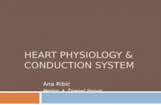 HEART PHYSIOLOGY & CONDUCTION SYSTEM Ana Ribić Mentor: A. Žmegač Horvat.