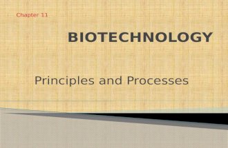 Principles and Processes Chapter 11. BIOTECHNOLOGY Deals with techniques of using live organisms to produce products and processes useful to humans.