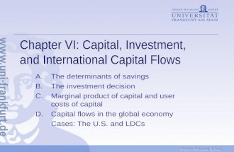 Goethe Business School Chapter VI: Capital, Investment, and International Capital Flows A. The determinants of savings B. The investment decision C.Marginal.