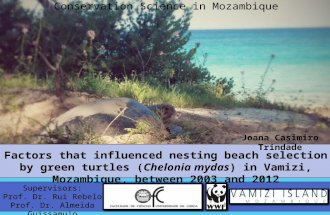 Factors that influenced nesting beach selection by green turtles (Chelonia mydas) in Vamizi, Mozambique, between 2003 and 2012 Supervisors: Prof. Dr. Rui.