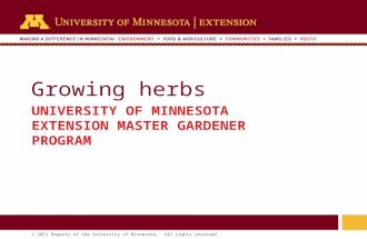 1 © 2011 Regents of the University of Minnesota. All rights reserved. 11 Growing herbs UNIVERSITY OF MINNESOTA EXTENSION MASTER GARDENER PROGRAM.