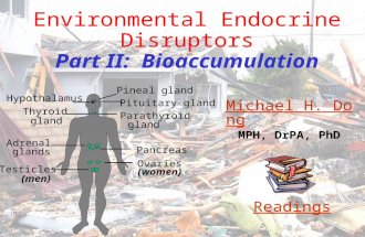 Michael H. Dong MPH, DrPA, PhD Readings Environmental Endocrine Disruptors Part II: Bioaccumulation Ovaries (women) Testicles (men) Pancreas Adrenal glands.