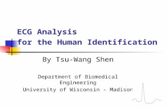 ECG Analysis for the Human Identification By Tsu-Wang Shen Department of Biomedical Engineering University of Wisconsin - Madison.