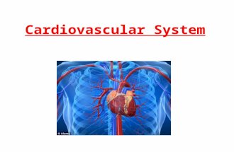 Cardiovascular System. Parts of the Heart Atrium: Also known as Auricles. the smaller superior chambers of the heart where blood collects either from.