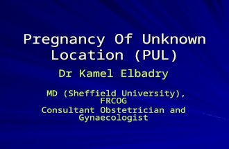 Pregnancy Of Unknown Location (PUL) Dr Kamel Elbadry MD (Sheffield University), FRCOG MD (Sheffield University), FRCOG Consultant Obstetrician and Gynaecologist.