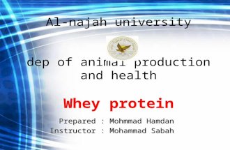Al-najah university dep of animal production and health Whey protein Prepared : Mohmmad Hamdan Instructor : Mohammad Sabah.