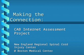 Making the Connection: Making the Connection: CAB Internet Assessment Project New England Regional Spinal Cord Injury Center @ Boston Medical Center.