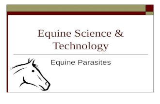 Equine Science & Technology Equine Parasites. Common Internal Parasites  In North America, horses are affected by more than 80 internal parasites, which.