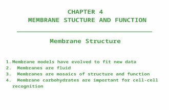 CHAPTER 4 MEMBRANE STUCTURE AND FUNCTION Membrane Structure 1.Membrane models have evolved to fit new data 2. Membranes are fluid 3. Membranes are mosaics.