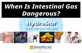 Copyright HD Scientific 2014-2105 All Rights Reserved 1 When Is Intestinal Gas Dangerous? Dangerous?
