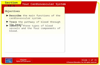 Section 12.1 Your Cardiovascular System Slide 1 of 31 Objectives Describe the main functions of the cardiovascular system. Trace the pathway of blood through.