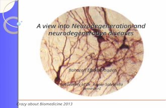 A view into Neurodegeneration and neurodegenerative diseases Bahareh Eftekharzadeh Laboratory of Dr. Xavier Salvatella SemesterI Crazy about Biomedicine.