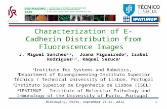 Characterization of E-Cadherin Distribution from Fluorescence Images J. Miguel Sanches 1,2, Joana Figueiredo 3, Isabel Rodrigues 1,3, Raquel Seruca 3 1.