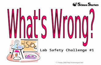 Lab Safety Challenge #1 T. Trimpe 2008