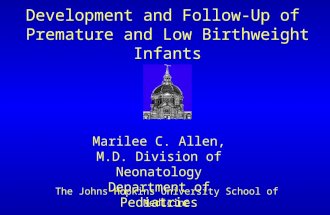 Development and Follow-Up of Premature and Low Birthweight Infants Marilee C. Allen, M.D. Division of Neonatology Department of Pediatrics The Johns Hopkins.