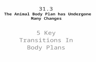 31.3 The Animal Body Plan has Undergone Many Changes 5 Key Transitions In Body Plans.