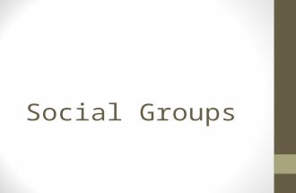 Social Groups. A set of people who identify with one another and interact in structured ways based on shared values/norms. Generally informal- are not.