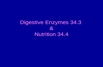 Digestive Enzymes 34.3 & Nutrition 34.4. Digestive Enzymes Break down the major components of food: carbohydrates, proteins, nucleic acids and fats. Found.
