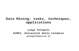 Data Mining: tasks, techniques, applications Luigi Palopoli DIMES, Università della Calabria palopoli@unical.it.